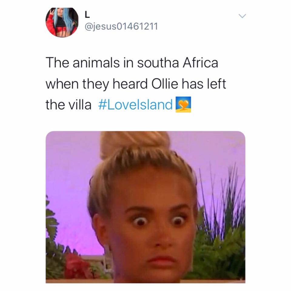 Love Island, memes, reactions, winter, meme, Ollie Williams, Ollie, quit, left, departure, exit, last night, Twitter, South Africa, Cape Town, winter, animals, gun, poaching, hunting, savage
