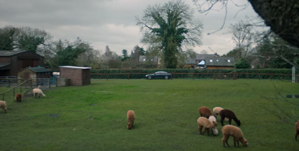 The Stranger filming locations, The Stranger, Netflix, filming, location, set, places, real life, Manchester, Stockport, Bolton, alpaca, farm, white peak alpacas, Cheshire