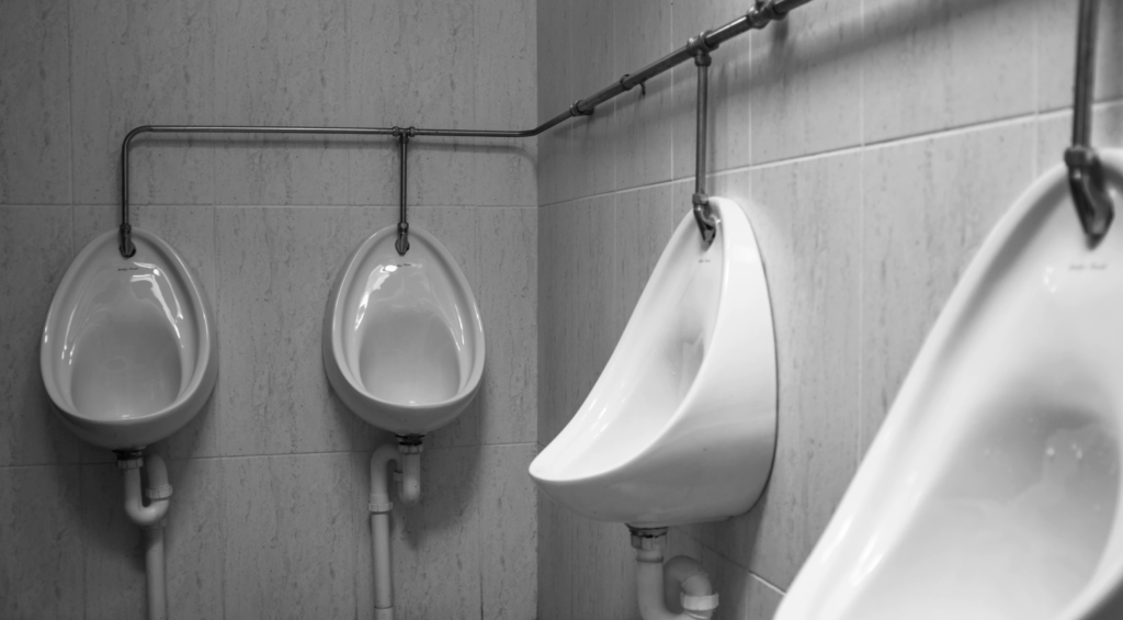 why cant I wee, why cant i urinate in a public restroom, why cant i pee, why cant i wee, weeing in public
