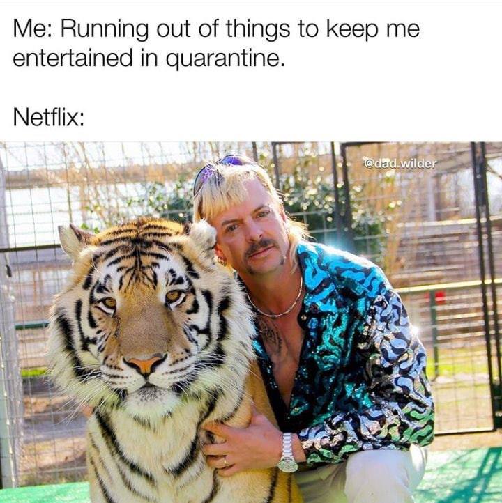 Tiger King, Joe Exotic, memes, meme, reaction, Twitter, funny, Netflix, series, Murder Mayhem and Madness, true crime, documentary,