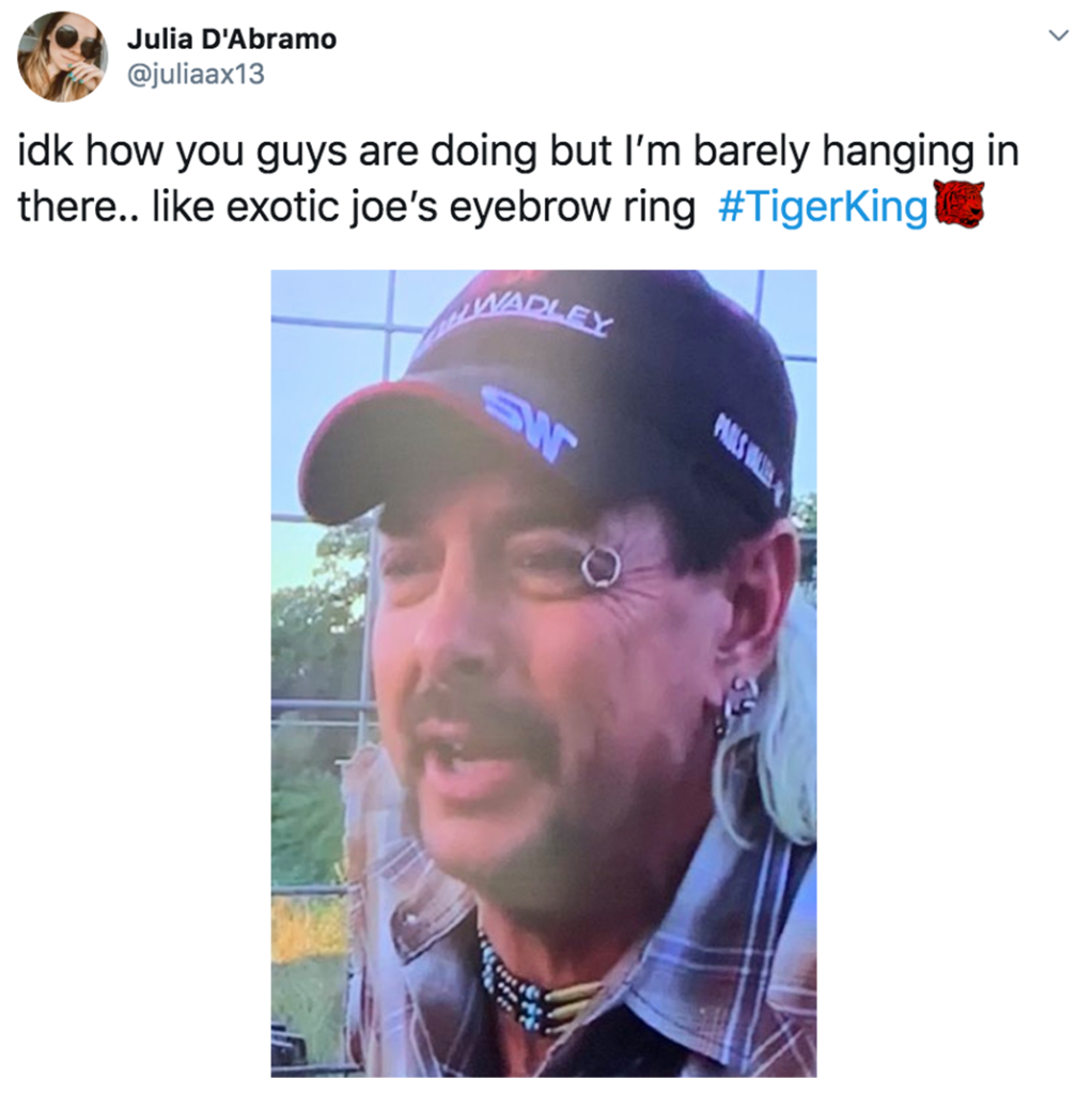 Tiger King, Joe Exotic, memes, meme, reaction, Twitter, funny, Netflix, series, Murder Mayhem and Madness, true crime, documentary, eyebrow ring, Joe