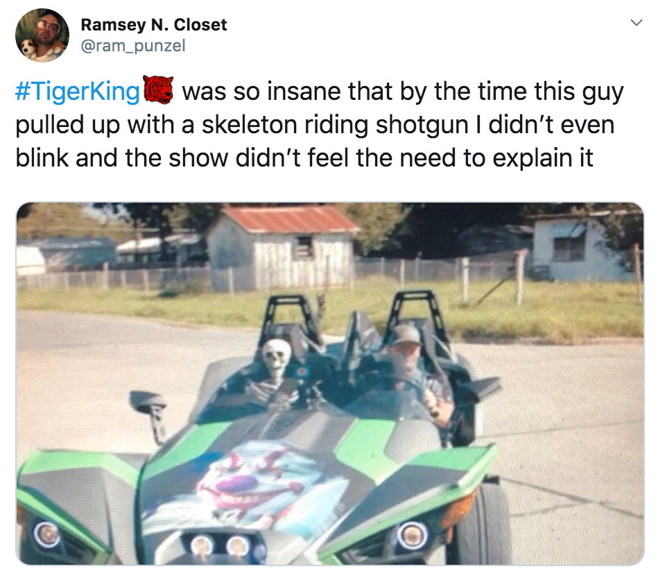 Tiger King, Netflix, memes, meme, reaction, Twitter, Joe Exotic, Carole Baskin