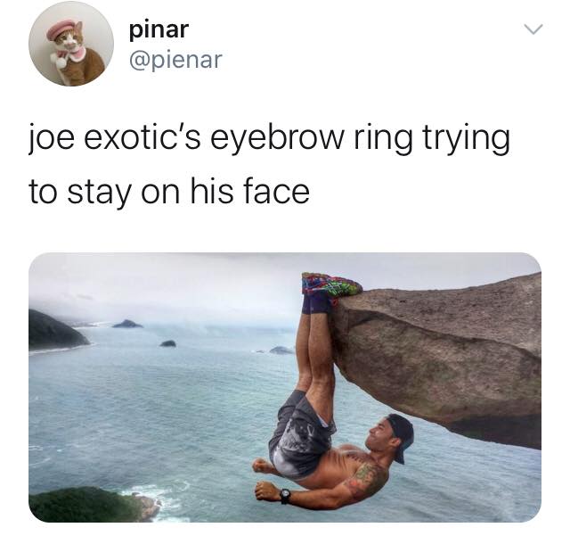 Tiger King, Netflix, memes, meme, reaction, Twitter, Joe Exotic, Carole Baskin, eyebrow, ring,
