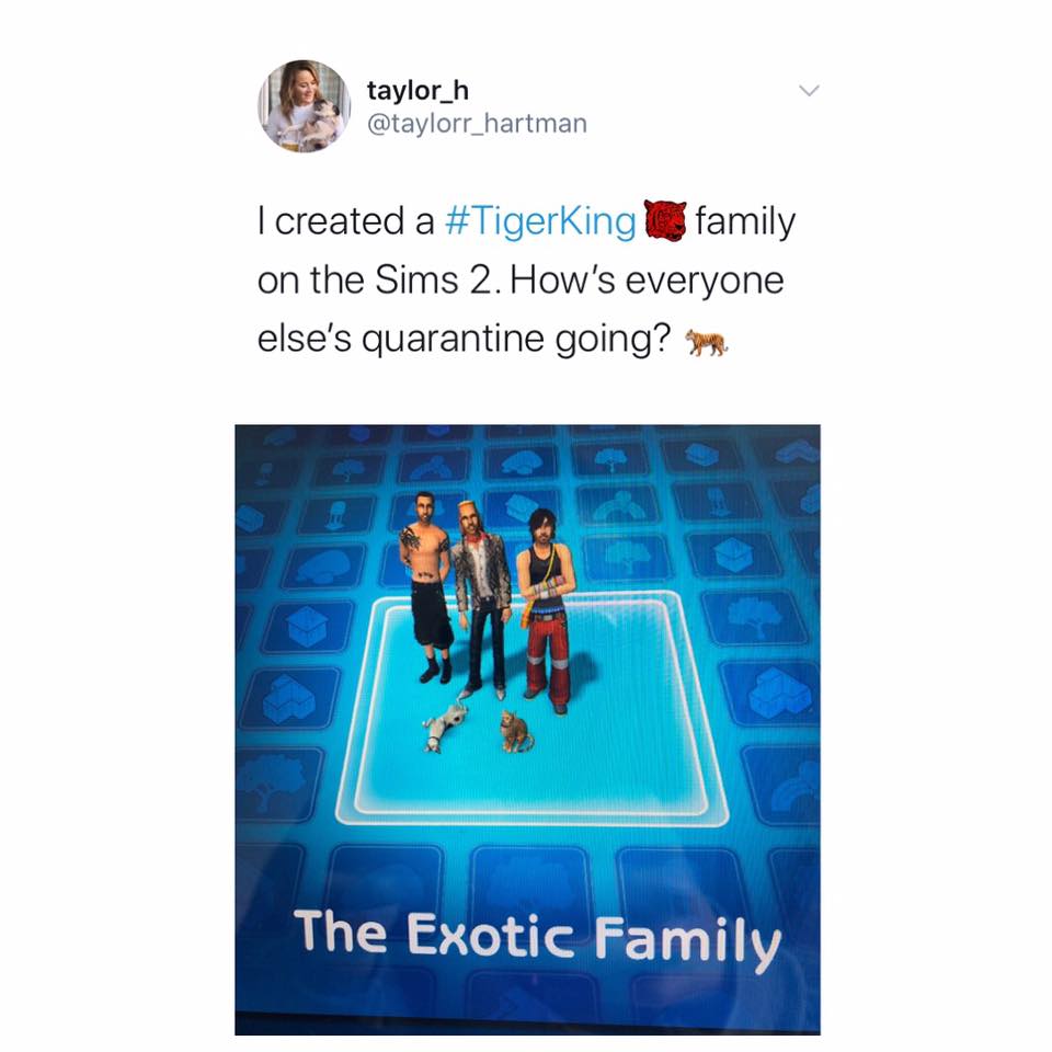 Tiger King, Netflix, memes, meme, reaction, Twitter, Joe Exotic, Carole Baskin, Sims