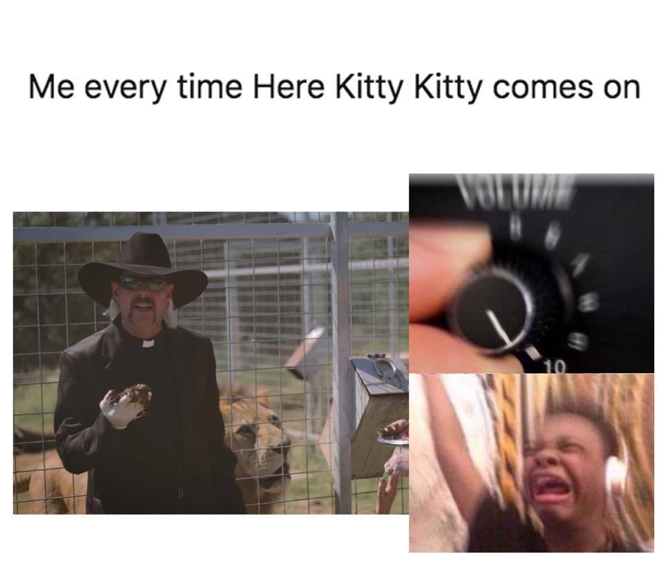 Tiger King, Netflix, memes, meme, reaction, Twitter, Joe Exotic, Carole Baskin
