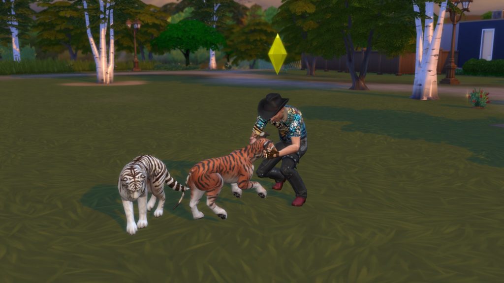 Tiger King, The Sims, Sims, game, Netflix, documentary, Joe Exotic, tigers, Carole Baskin, Travis, John Finlay