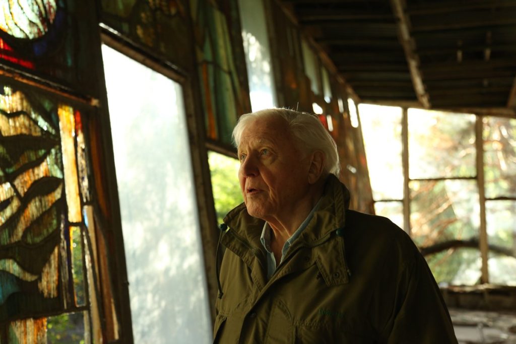 Netflix, new, documentaries, crime, series, true, doc, film, 2020, release date, trailer, list, best, David Attenborough