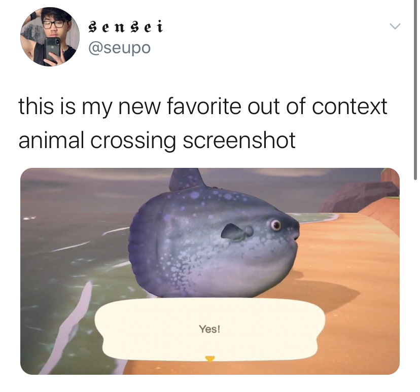 Animal Crossing New Horizons memes, all the best reacitons to the new Switch game, hilarious tweets and videos, funniest Animal Crossing moments
