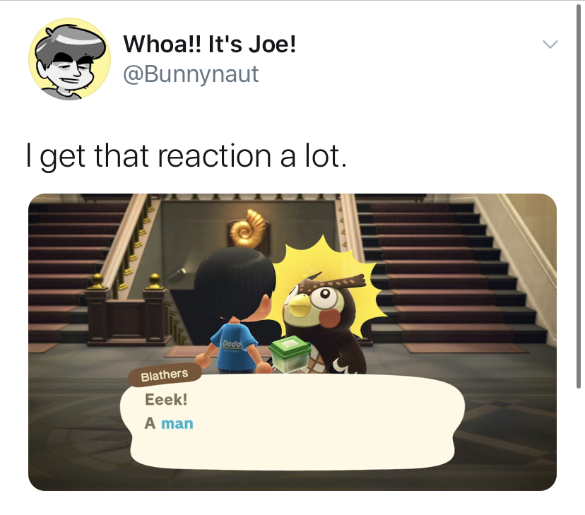Animal Crossing New Horizons memes, all the best reacitons to the new Switch game, hilarious tweets and videos, funniest Animal Crossing moments