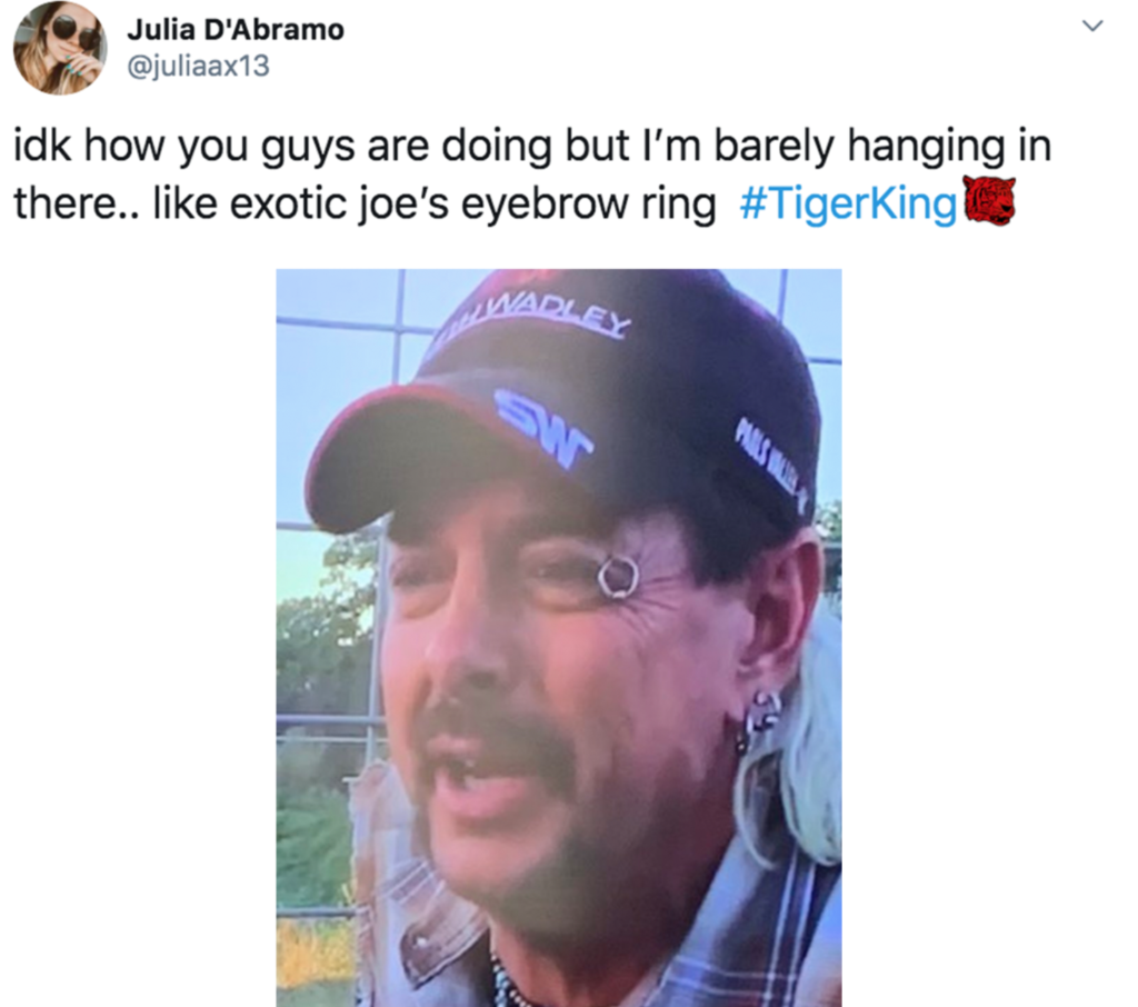 Tiger King, questions, Netflix, moments, best, funniest, bizarre, Joe Exotic, hair, eyebrow ring
