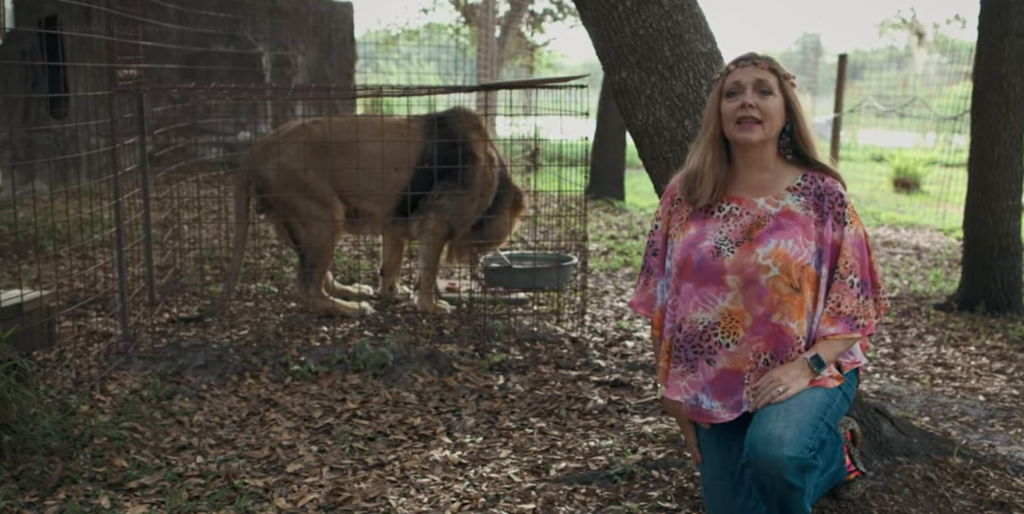 Tiger King, questions, Netflix, moments, best, funniest, bizarre, Carole Baskin