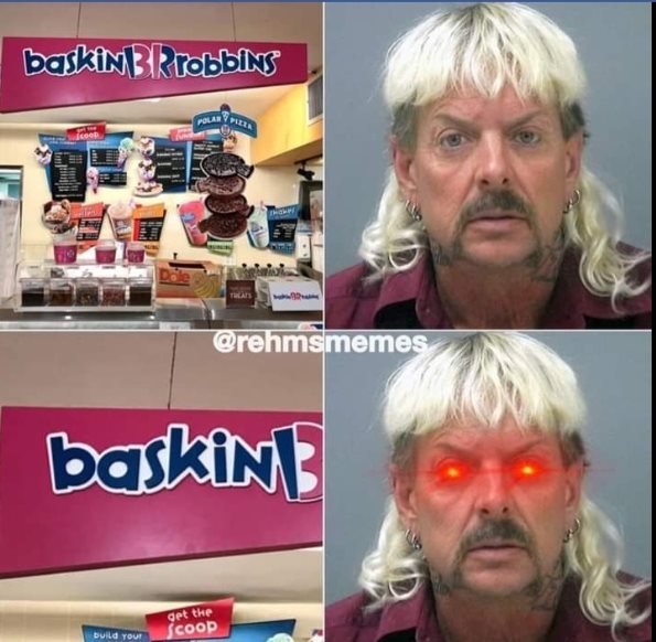 Tiger King, memes, Carole Baskin, Netflix