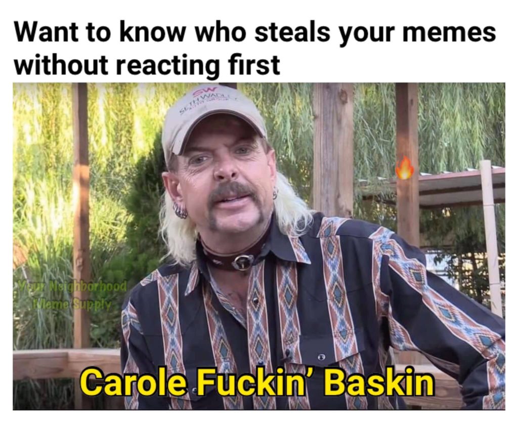 Tiger King, memes, Carole Baskin, Netflix
