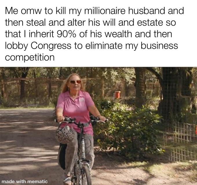 Tiger King, memes, Carole Baskin, Netflix