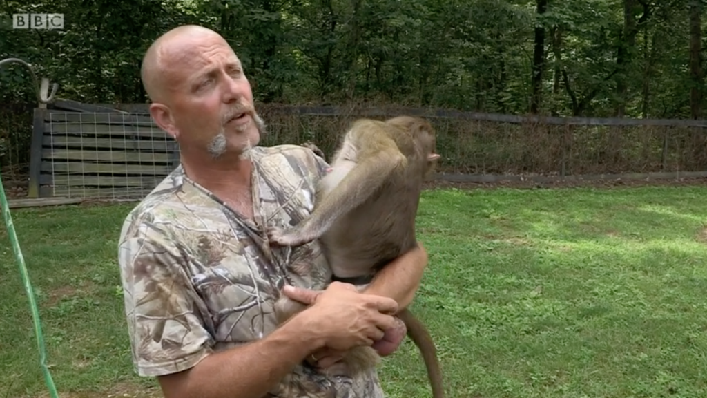 Tiger King, Netflix, Louis Theroux, Tim Stark, opinions, latest, news, BBC, America's Most Dangerous Pets