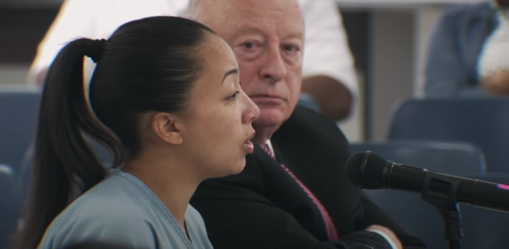 #FreeCyntoiaBrown, Cyntoia Brown, Murder To Mercy, Netflix, true story, real, events, documentary, now, court, jail, sentence, case, what happened, Kim Kardashian, Rihanna
