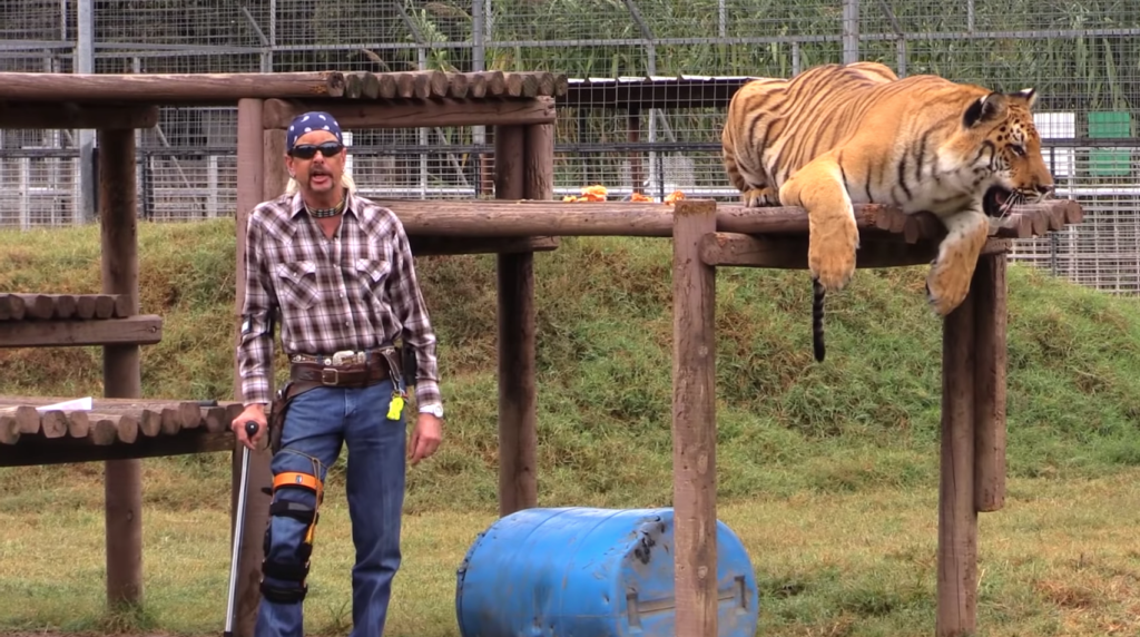 Tiger king, Joe exotic, Netflix, fashion, icon, gw zoo, John Finlay, wedding