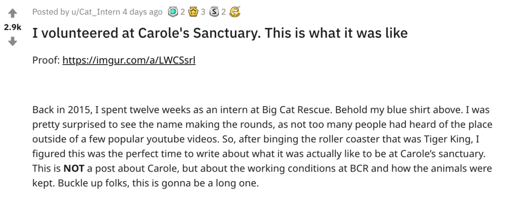 reddit, carole baskin, big cat rescue, sanctuary, intern, volunteer, tiger king, joe exotic