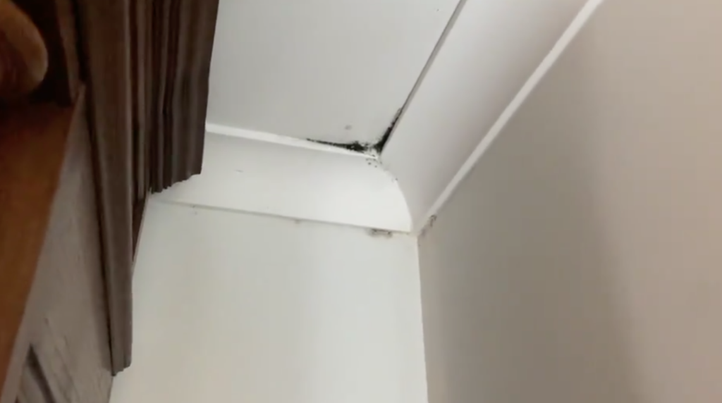 house, viewing, virtual, video, viral, Twitter, clip, meme, reaction, landlord