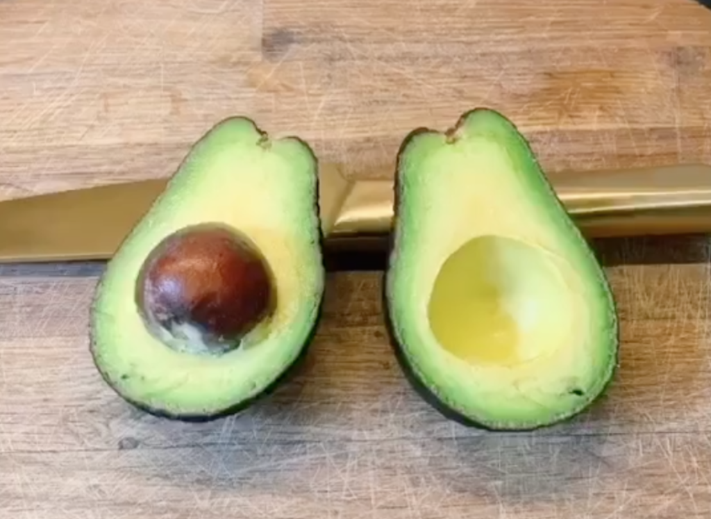 avocado seed, vegan