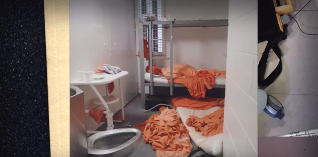 Jeffrey Epstein, theories, conspiracy, Twitter, death, suicide, cell