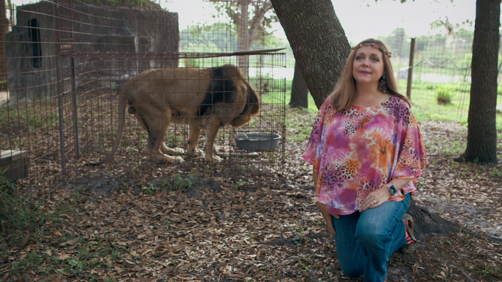 Joe Exotic, Tiger King, Carole Baskin, zoo, take over, latest, news, responds, reply, statement, news