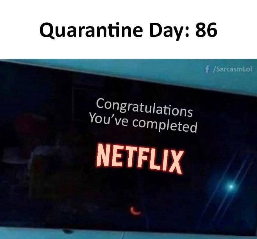 Netflix, memes, funny, meme, reaction, completed, finished
