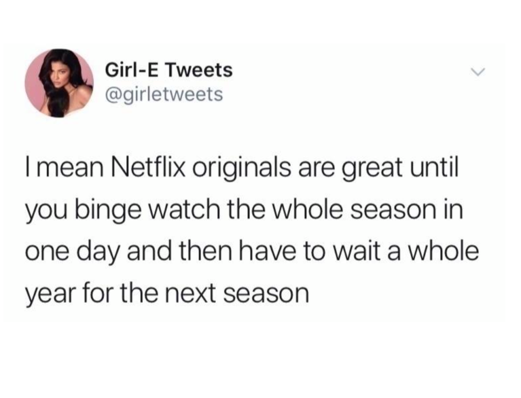 Netflix, memes, funny, meme, reaction, originals, seasons