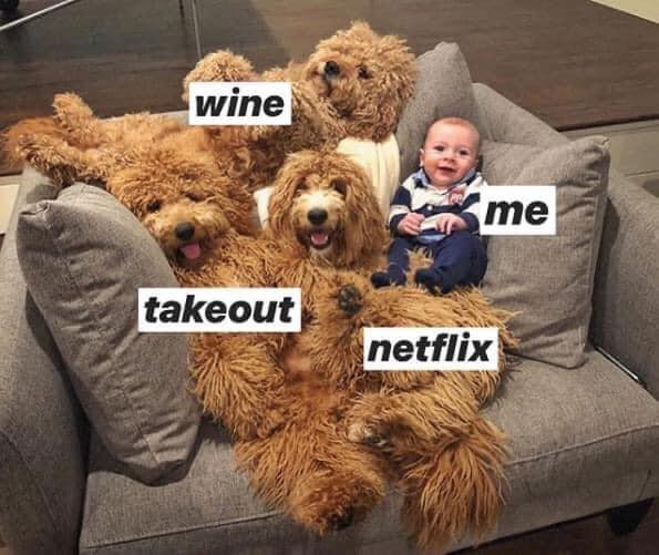 Netflix, memes, funny, meme, reaction, binge, watch