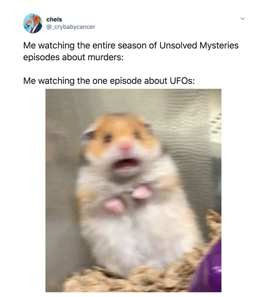 Berkshires UFO, memes, reactions, review, Netflix, episode, five, Unsolved Mysteries, Twitter