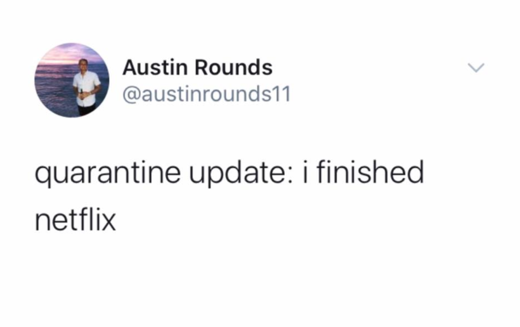 Netflix, memes, funny, meme, reaction, finished, completed
