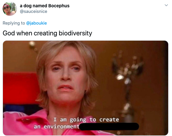 All the best memes of Sue Sylvester from Glee saying 'I'm going to create an envoronment so toxic.' Hilarious tweets and variations on the new viral meme.