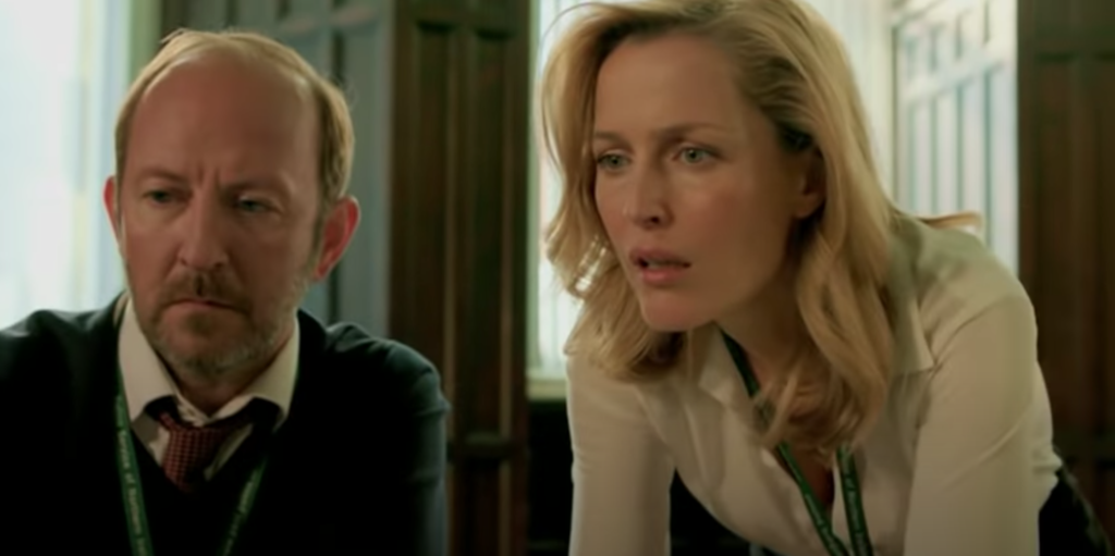 The Fall, reviews, review, Twitter, Netflix, crime, murder, series, plot, about, reactions, Gillian Anderson