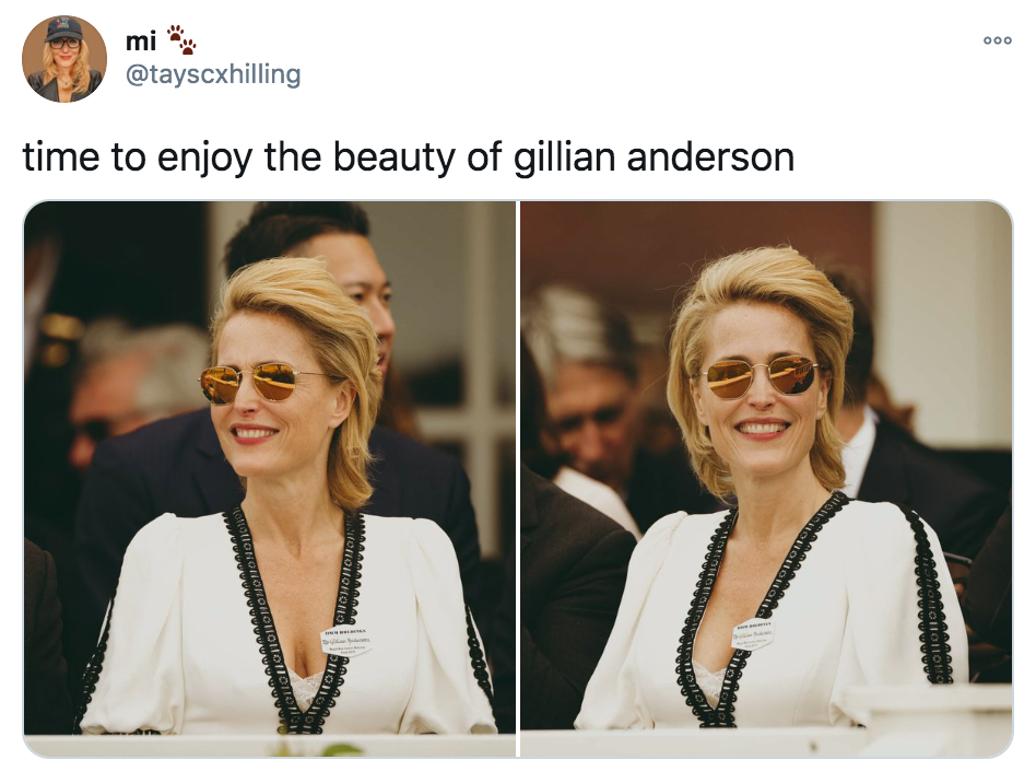 Gillian Anderson, memes, meme, Twitter, TikTok, reactions, appreciation