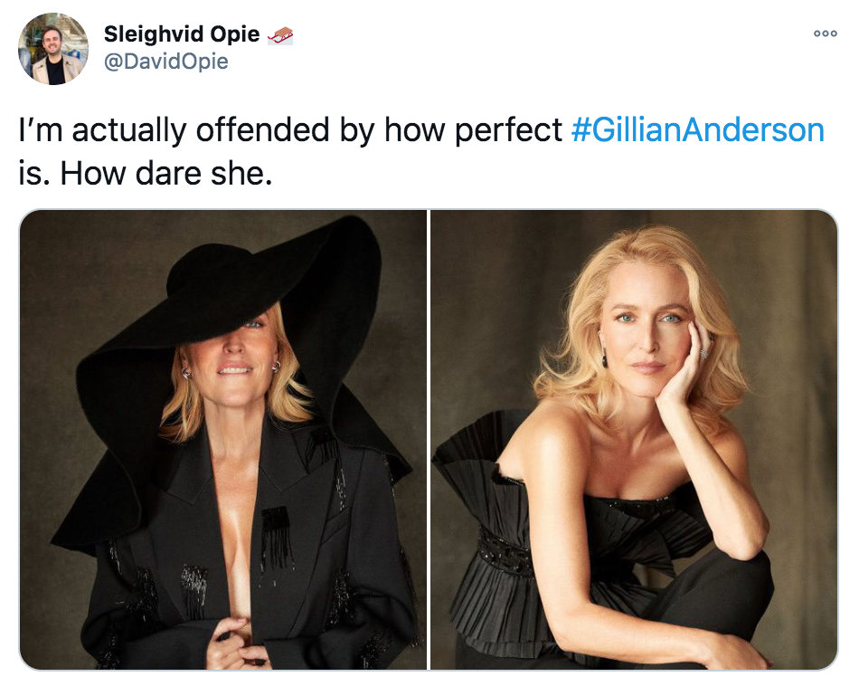 Gillian Anderson, memes, meme, Twitter, TikTok, Sex Education, The Crown, Jean Milburn, Margaret Thatcher
