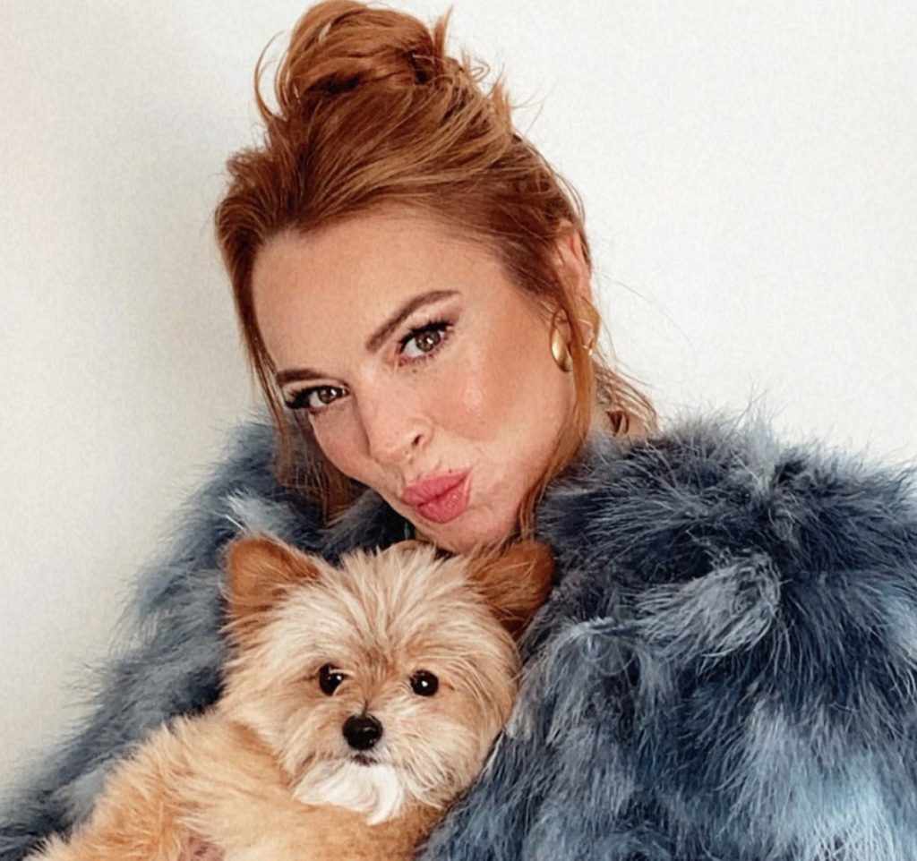 Mean Girls, cast, net worths, net, worth, money, earnings, richest, Lindsay Lohan, Cady Heron