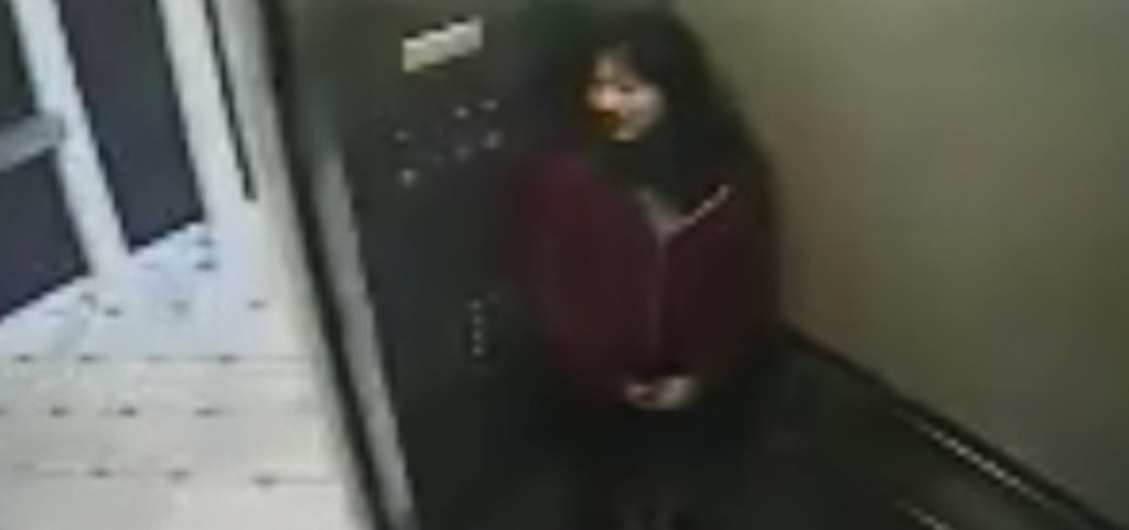 Elisa Lam, death, theories, Vanishing at the Cecil Hotel, Hotel Cecil, what happened, lift, CCTV, elevator, game