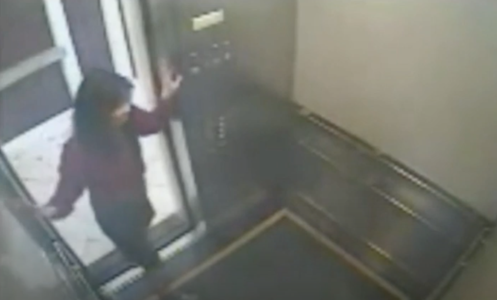 Elisa Lam, Cecil Hotel, elevator, lift, footage, CCTV, video, clip, body language, Netflix, Crime Scene: The Vanishing at the Cecil Hotel