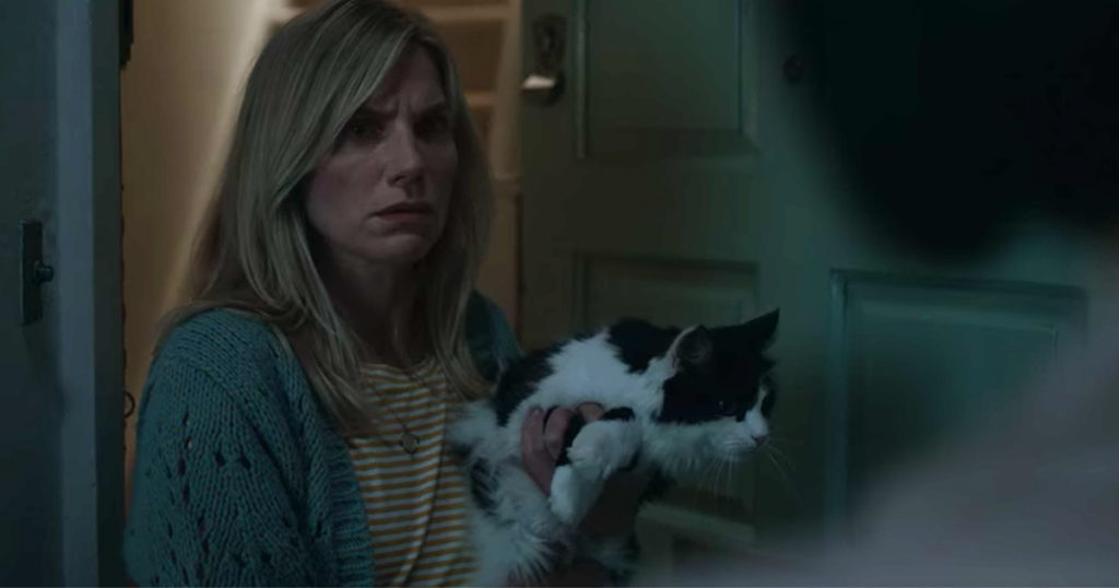 Marianne, cat, Brighton, Adele