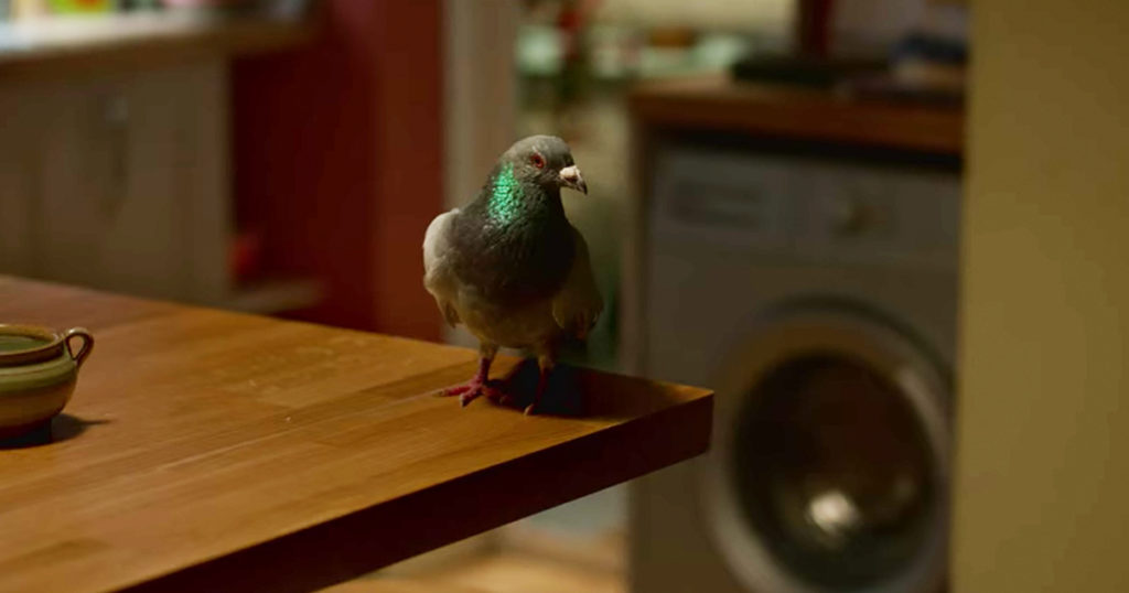 Behind Her Eyes, pigeon, bird, theory, Netflix, ending, Louise, Rob, Adele