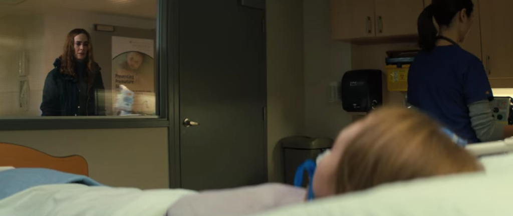 Run, Netflix, Hulu, movie, film, ending, explained, Sarah Paulson, Diane, Chloe