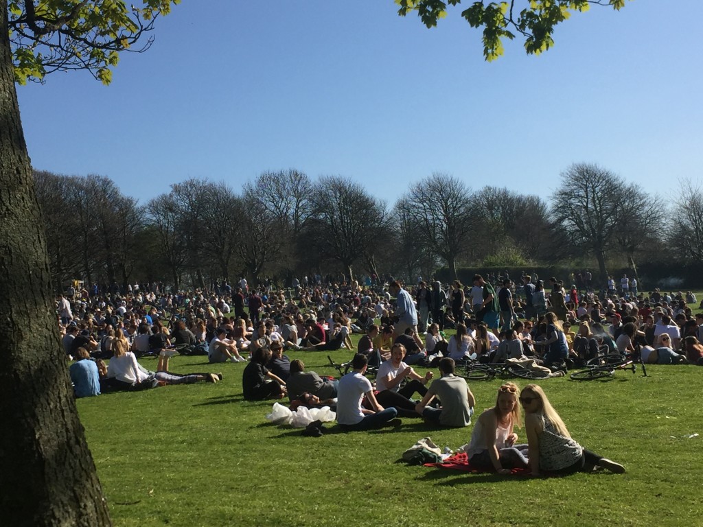 park-uni-tinnies