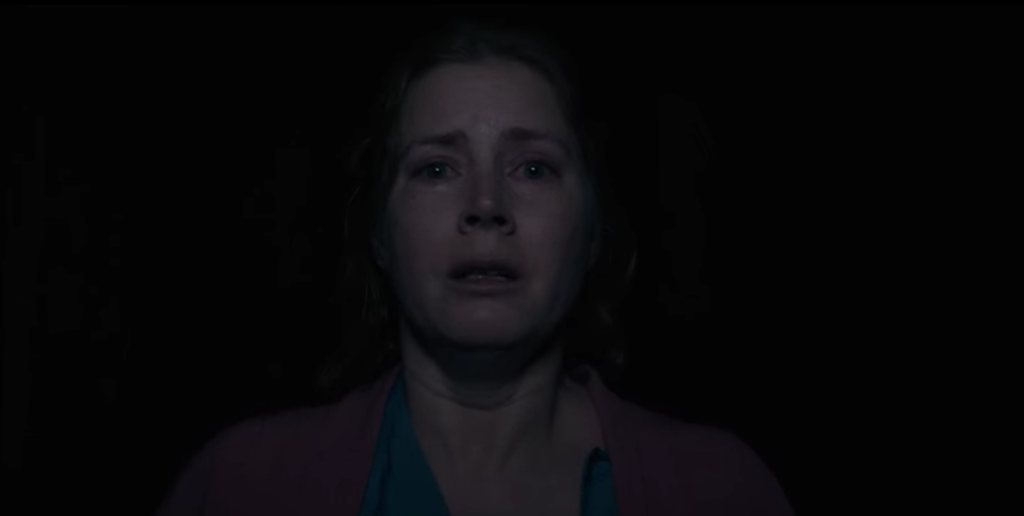 Amy Adams, The Woman in the Window
