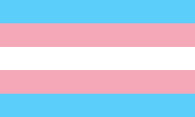 trans-pride-flags