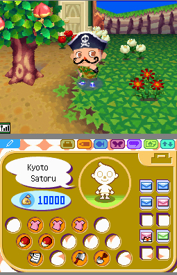 Nintendo DS