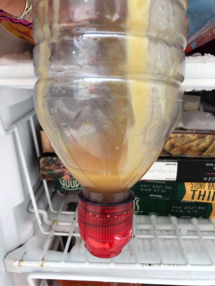 frozen honey tiktok