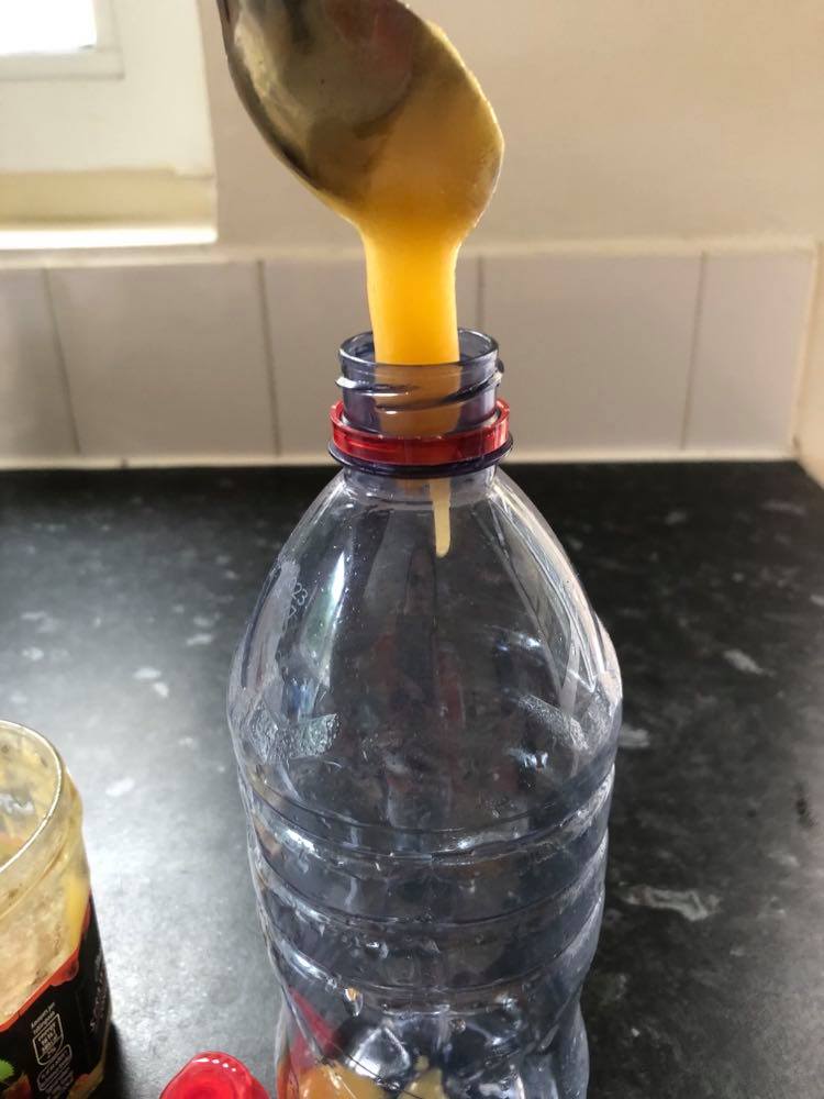 frozen honey tiktok