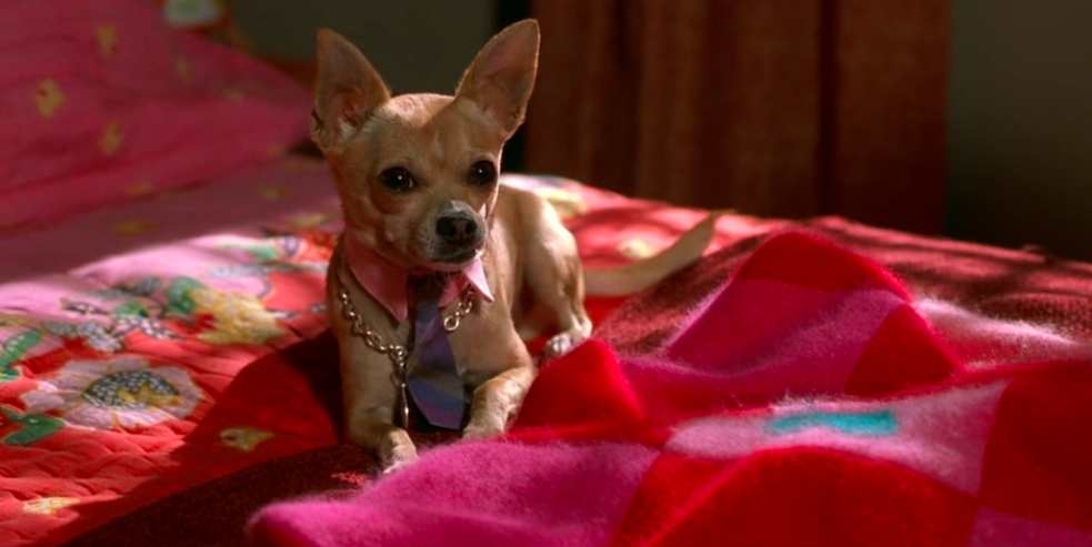 legally blonde outfits ranked