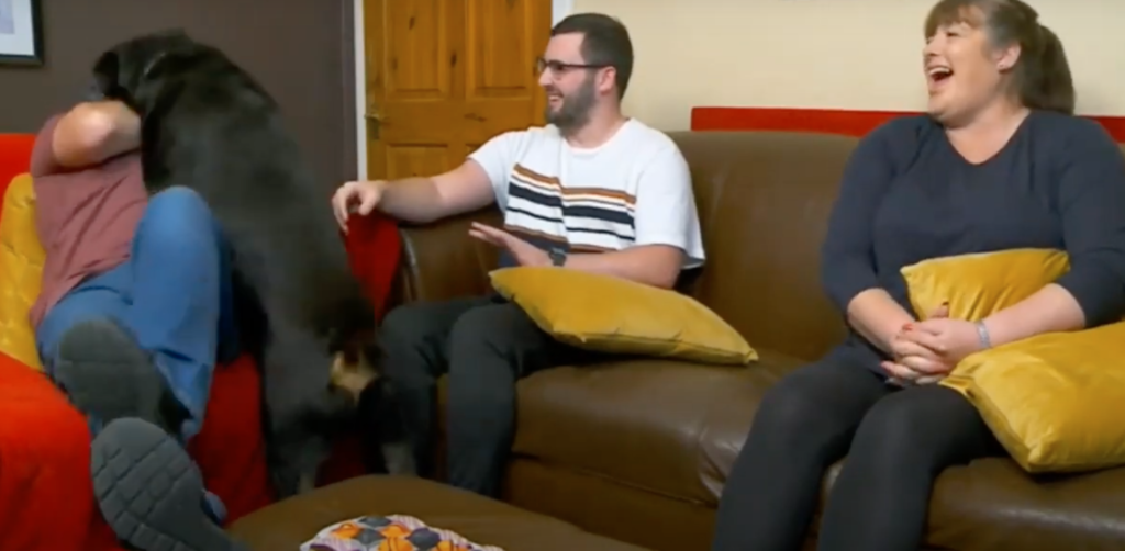 Gogglebox-house-prices