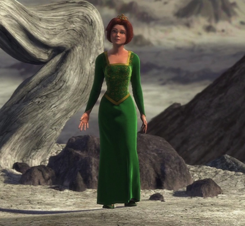 Princess Fiona Shrek outfits